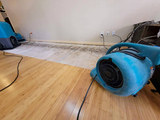 Professional Basement Flood Cleanup technician working in Zarephath, NJ