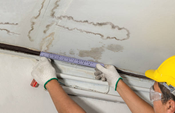 Affordable Basement Flood Cleanup solutions in Zarephath, NJ